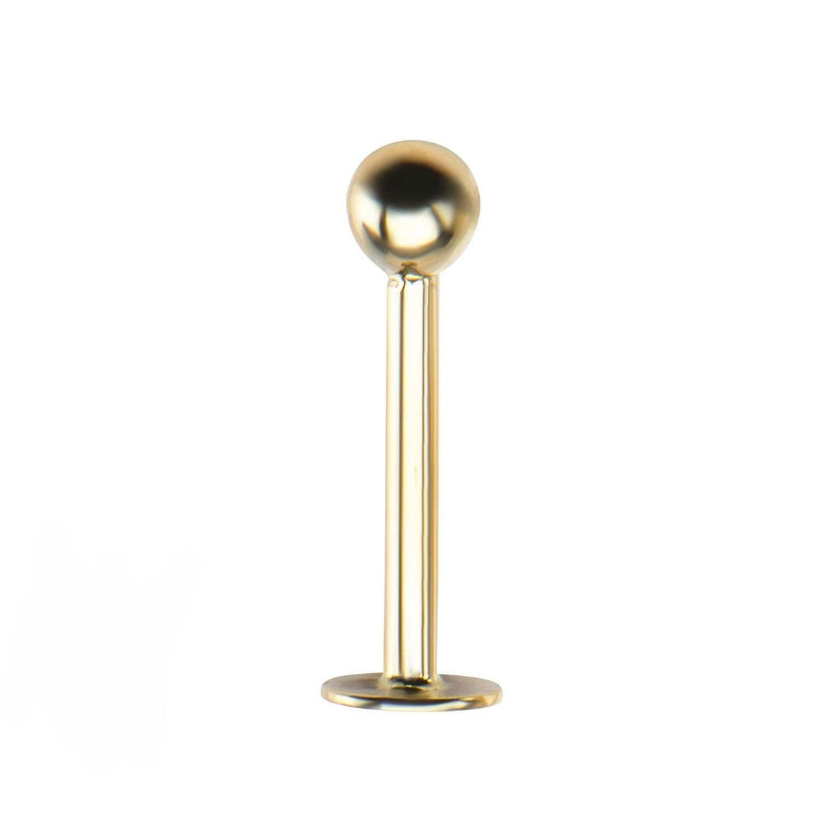 Gold Labret – The Plug Store South Africa